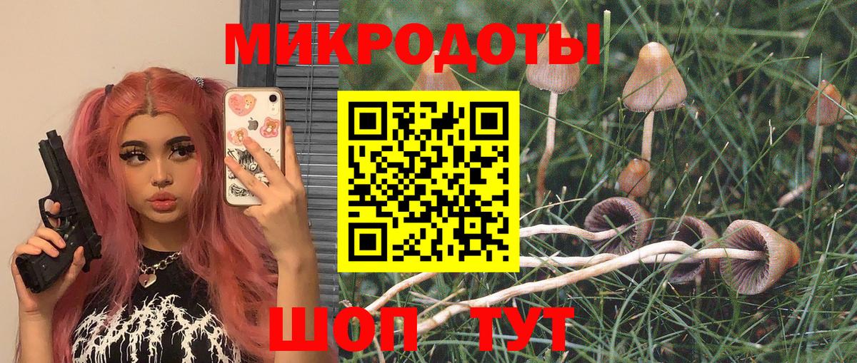 Псилоцибиновые грибы Psilocybe  Вход с VPN  Вятские Поляны  Галлюциногенные грибы прущие грибы 